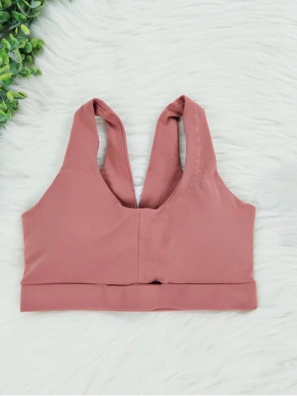 Whitney Simmons x Gymshark Bra in Moab Mountain Brick